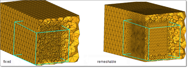 fixed_remeshable_example