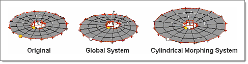 set_global_morph_options